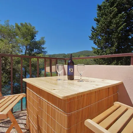 Apartman Seafront Dana Vela Luka